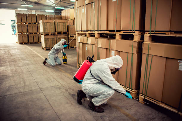 Best Ant Control Services  in Banks Springs, LA