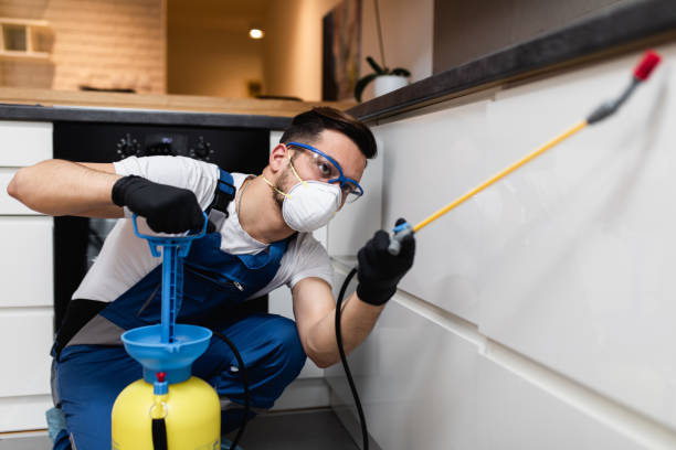 Best Emergency Pest Control  in Banks Springs, LA
