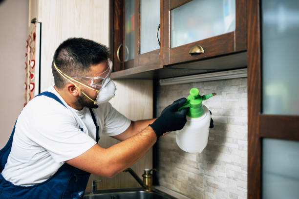 Flea Control Services in Banks Springs, LA