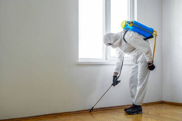 Best Wasp Removal Services  in Banks Springs, LA