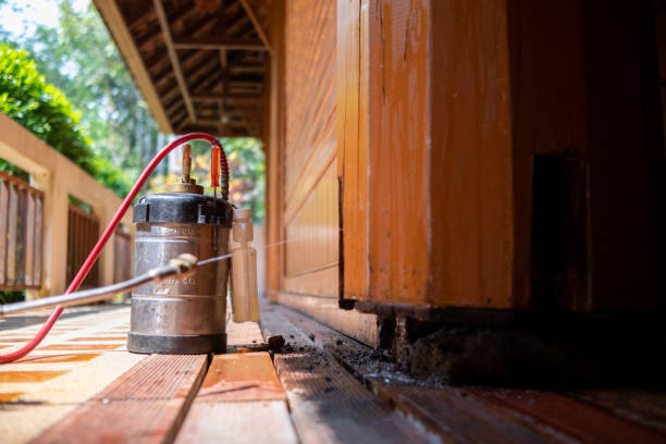 Best Pest Removal Services  in Banks Springs, LA
