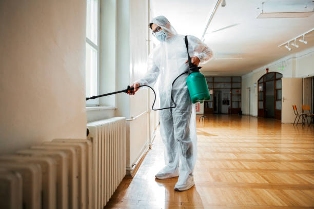 Best Exterminator Services  in Banks Springs, LA